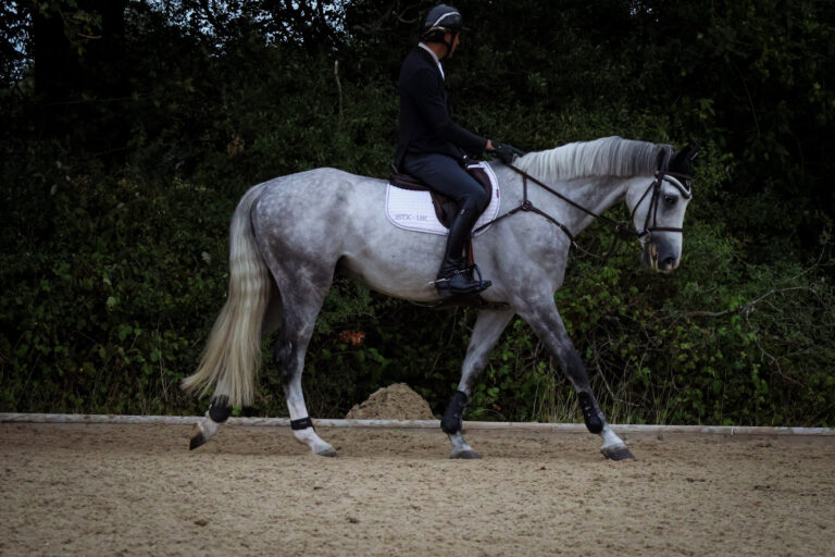 Aegon C Z